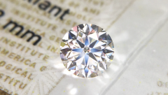 数据说话：九大培育钻石品牌横向对比，谁才是真正的性价比之王？