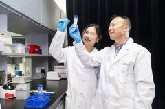 港城大科研突破：抑制铁死亡或成东亚心梗患者新疗法