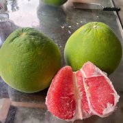 泰国红宝石青柚苗采购种植/技术指导