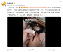 中医学生救瘫痪小猫，谷医堂带您了解中医正骨的奥秘